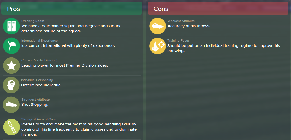 Asmir Begovic, FM15, FM 2015, Football Manager 2015, Scout Report, Pros & Cons