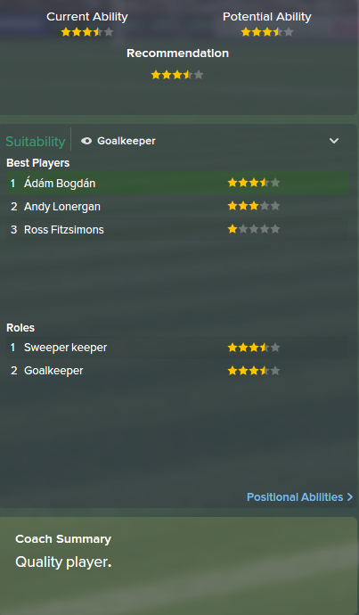 Adam Bogdan, FM15, FM 2015, Football Manager 2015, Scout Report, Current & Potential Ability